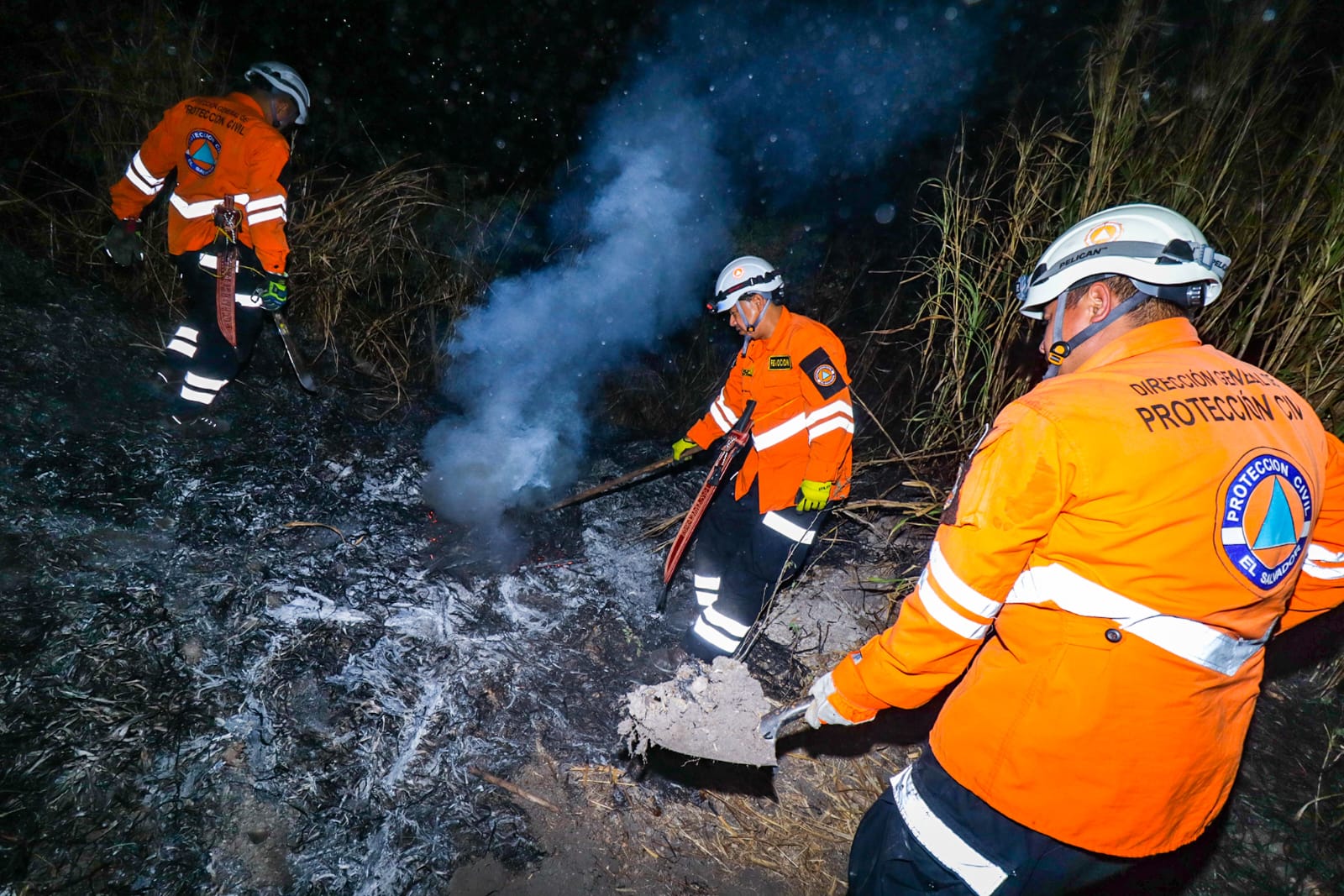 Protección Civil y Bomberos sofocan incendio en carretera Troncal del